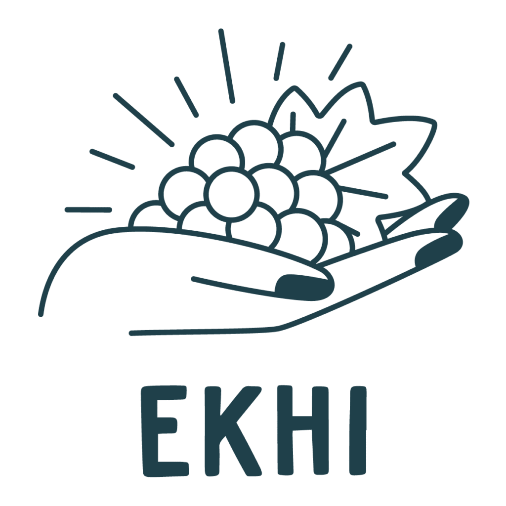 Logo ekhi wine