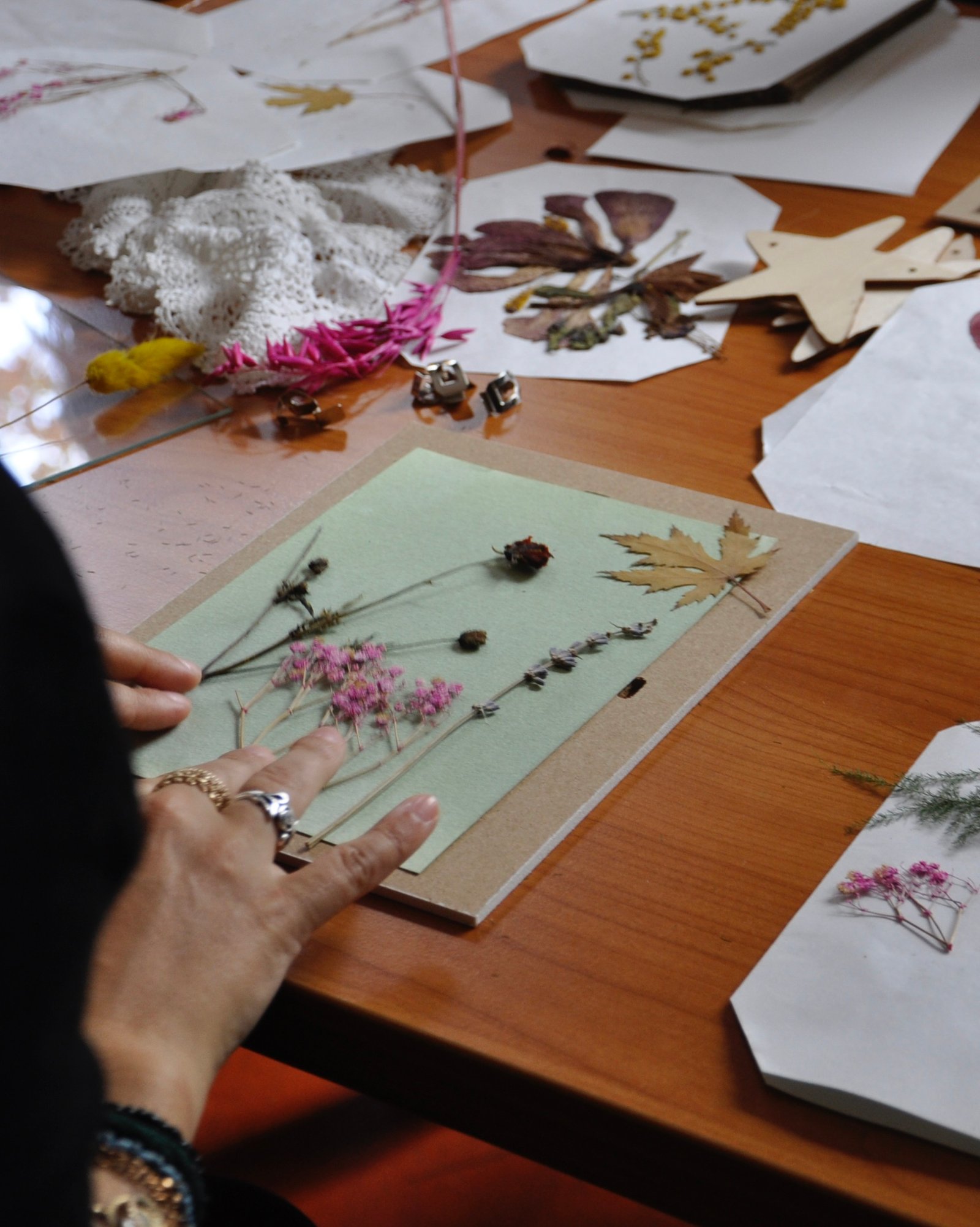 Atelier cyanotype 4.10.25