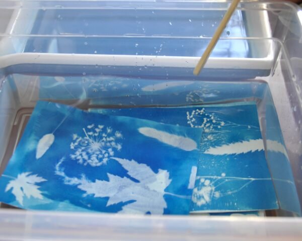 Atelier cyanotype avec Gabriela Larrea Almeida