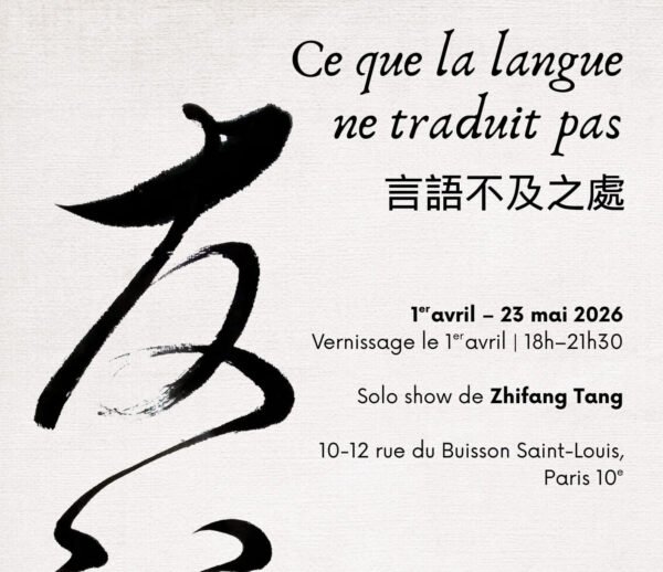 Ce que la langue ne traduit pas